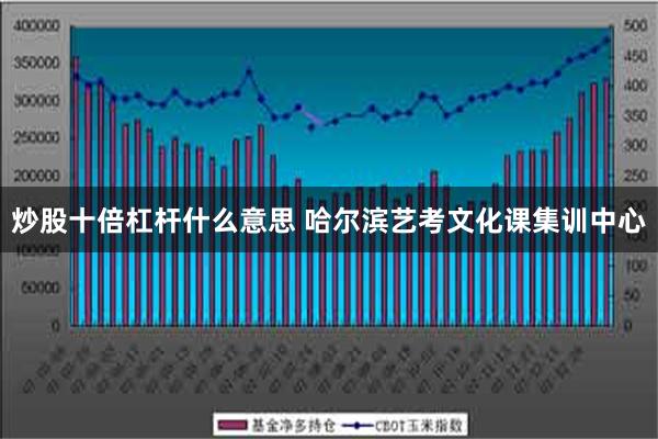 炒股十倍杠杆什么意思 哈尔滨艺考文化课集训中心