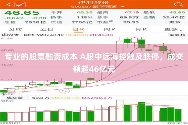 专业的股票融资成本 A股中远海控触及跌停，成交额超46亿元