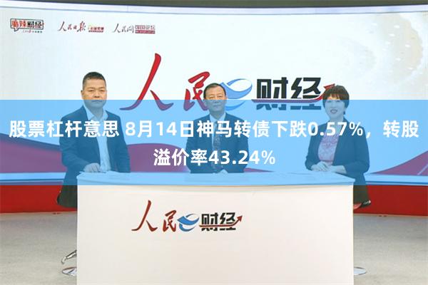 股票杠杆意思 8月14日神马转债下跌0.57%，转股溢价率43.24%