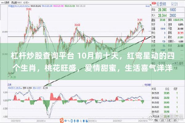 杠杆炒股查询平台 10月前十天，红鸾星动的四个生肖，桃花旺盛，爱情甜蜜，生活喜气洋洋