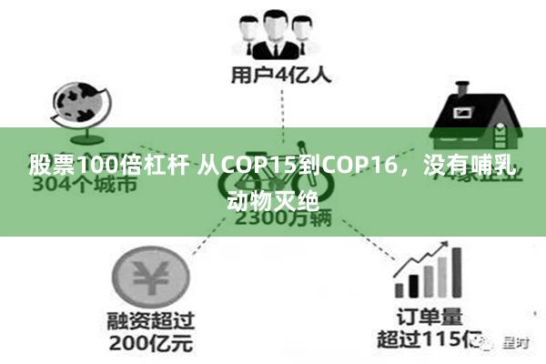 股票100倍杠杆 从COP15到COP16，没有哺乳动物灭绝