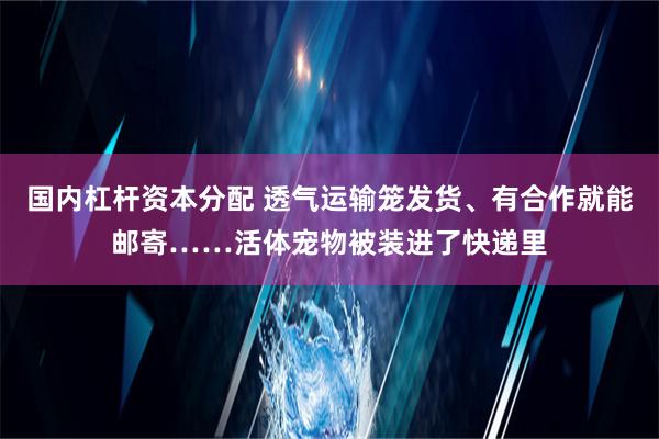 国内杠杆资本分配 透气运输笼发货、有合作就能邮寄……活体宠物被装进了快递里