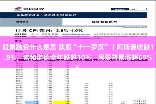 股票融资什么意思 欧股“十一罗汉”｜阿斯麦收跌1.9%，诺和诺德全年跌超10%，思爱普累涨超69%