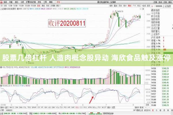 股票几倍杠杆 人造肉概念股异动 海欣食品触及涨停